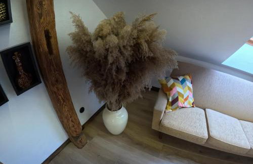 Miejski Las 8 - Foto 19