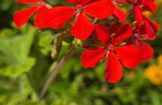 Al Civico 365 - Foto 25