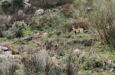 Capricho de Zuheros - Foto 36