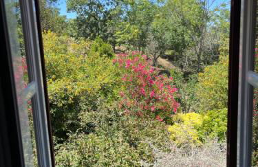 Casa do Reguengo (New!) - Foto 21