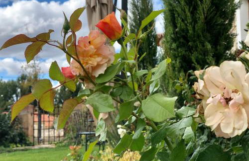 El Cuartel del Rio Dulce - Foto 9