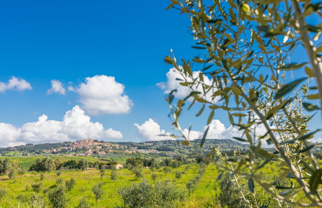 Montaleo 2 - Foto 22