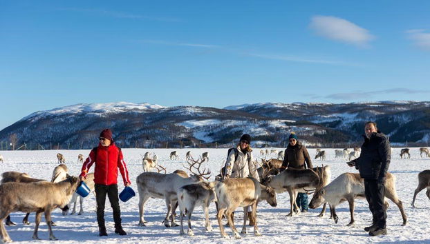 Discover the History of the Sami People with a Reindeer Sleigh Experience - Half-Day Tour - Photo 2