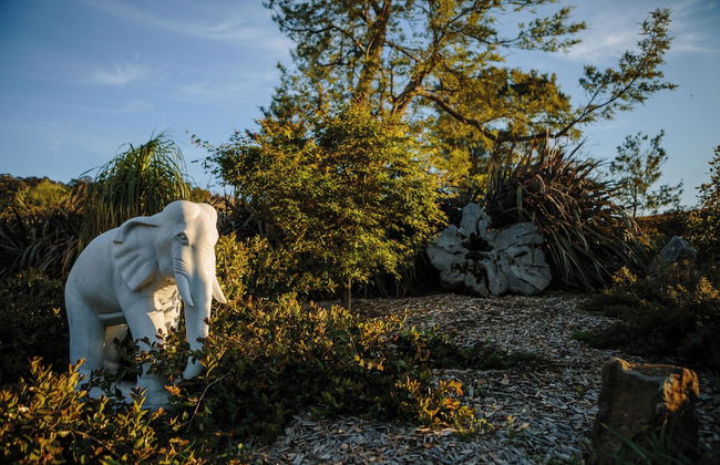 Mt Hay Retreat, Berry - Foto 23