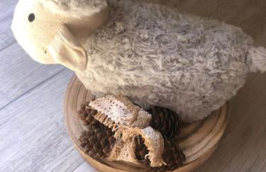 Alojamiento Museo Carmelitano Alba de Tormes - Foto 37