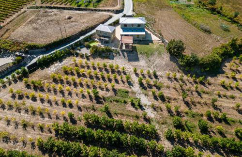 Lemon Villa with Private Indoor Heated Pool - Oporto Lemon Farm, near Porto - Foto 74