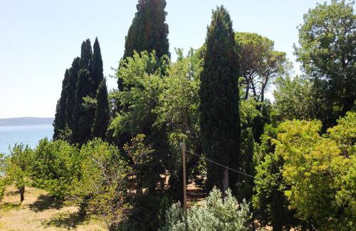 Palmaja - Foto 1
