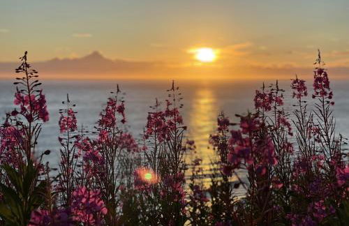 Lost Anchor Cabins - Ocean-view cabins on the bluff - Foto 25