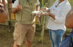 Vale das Rainhas - Photo 17