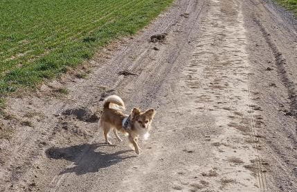 Ferienwohnung Gentsch in Schmannewitz - Foto 48