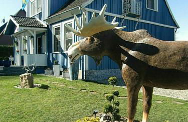 FeWo Schwedenhaus - Foto 1