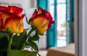 Seaside Apartments - Foto 34