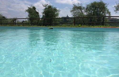 Podere l'Ulivo - Foto 11