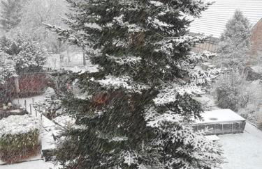 Ferienwohnung Beatrice - Foto 19