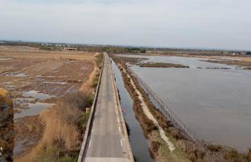 Appartement neuf et moderne au cœur de la Camargue - Foto 11