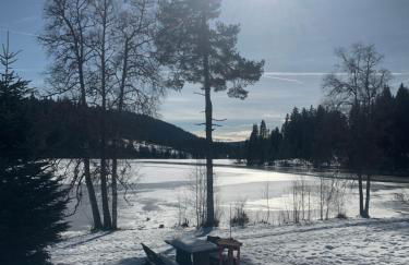 BergOase-Apart am Feldberg - Foto 34