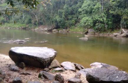 Recanto da natureza - Photo 11