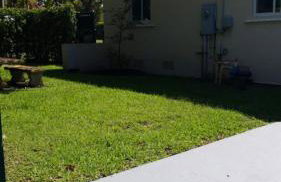 LUXURY Guayabita's House - Photo 2