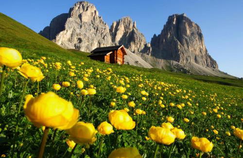 Apartment Garni Eden by Interhome - Foto 116