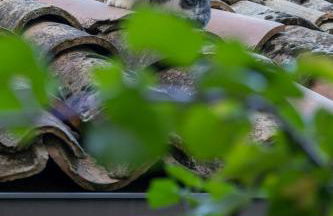 Appartamento per Turisti Mesovia - Photo 33