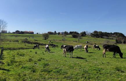 Nordés Casa rural en Lastres entre mar y montaña - Foto 52