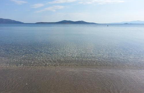 Farm Villa Dova - Foto 14