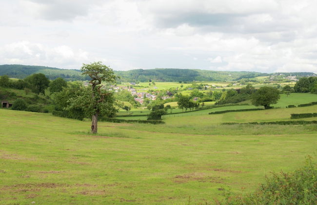 Cozy Holiday Home in Polleur With Sauna - Foto 31