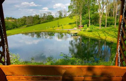 Romantic Forest Cabin with Amazing Private Deck and Spa in Ohio - Foto 11