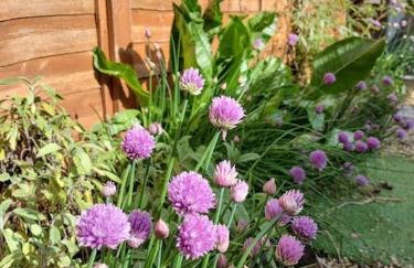 Welsh Miners Cottage Four Bedroom House - Foto 8