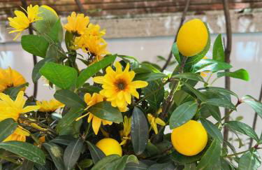 Venice Lucky House - Foto 20