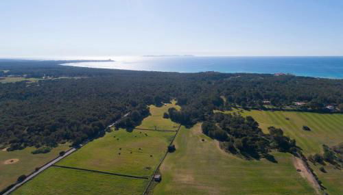 S'hort de Marina - Photo 3