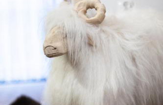 Apartamenty Jędrol - Foto 17