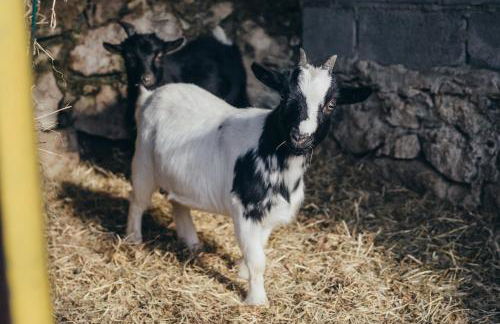 Casa da Carvalha - Foto 45