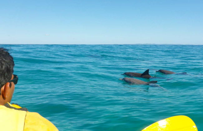 Tour del Parco nazionale Great Sandy in kayak - Foto 8