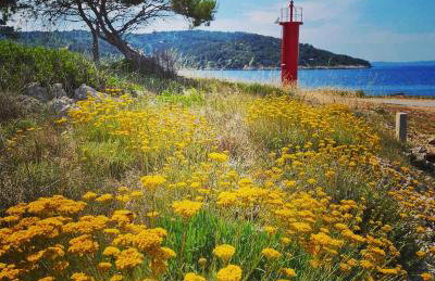 Apartmani Lada, Rogač, otok Šolta - Foto 23