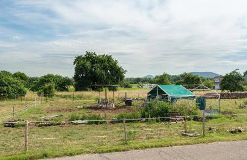 Neubau Ferienwohnung Kleine Auszeit - Photo 27