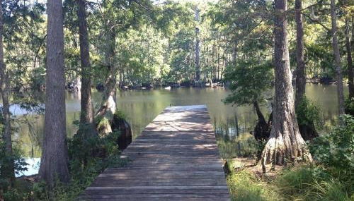 Spacious Retreat - Near IAH Airport & Lake Houston, Sleeps 9 - Foto 4