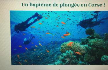 Résidence EMILIA - Foto 49