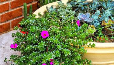 Encantadora casa com piscina perto da praia - Foto 2