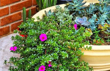 Encantadora casa com piscina perto da praia - Foto 2