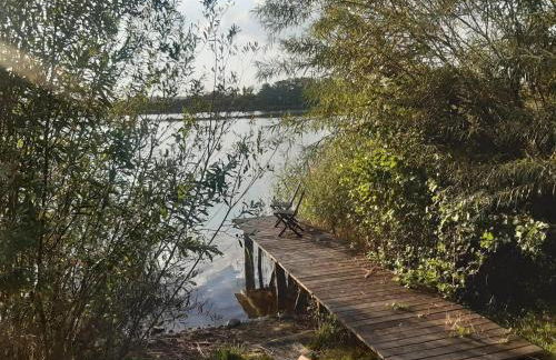 Ferienhaus am grossen See in Fuerstenwerder - Photo 25