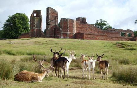 2 bedroom Large Town Centre Apartment FREE Parking - Foto 28