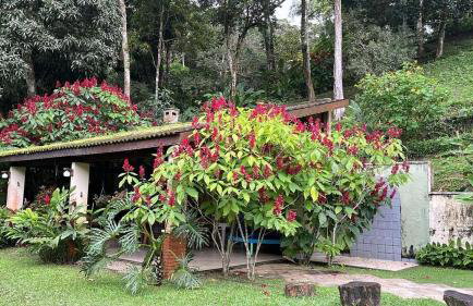 Acorde com o canto dos passaros - Foto 10