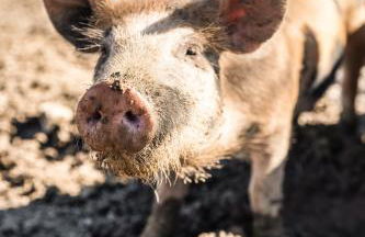 Cascina Bagaggera - Foto 28