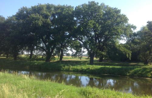 Kleine Kirche Atzendorf - Foto 24