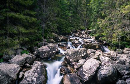 Apartament Nad Tatrzańską Pasieką - Foto 43