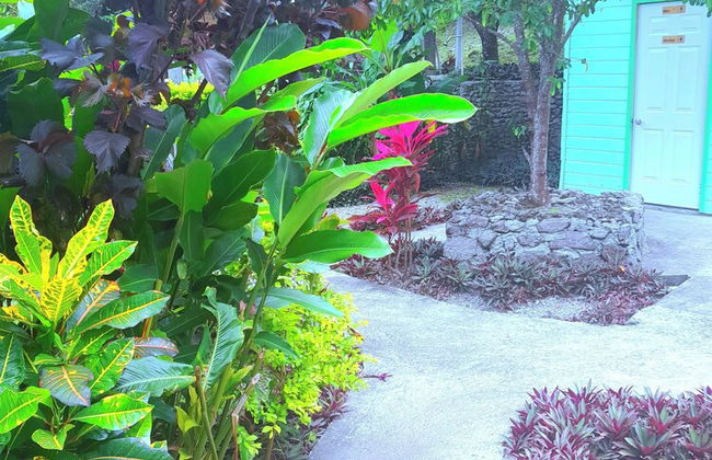 Pinard's Mountain Resort - Cottage 7 - Photo 36