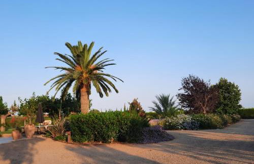 Mas Montbrio Belvedere - Foto 38