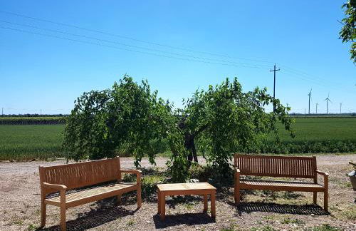 Agriturismo Masseria Mascitelli - Foto 29