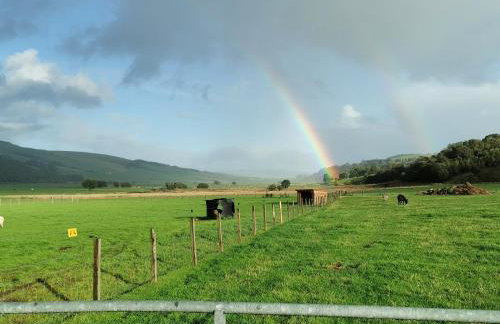 Glen Bay - 2 Bed Lodge on Friendly Farm Stay with Private Hot Tub - Foto 59
